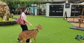 資訊圖片