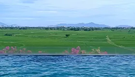 資訊圖片