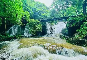 資訊圖片