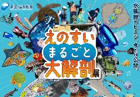 資訊圖片