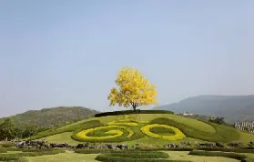 資訊圖片