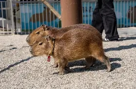 資訊圖片