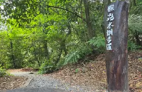 資訊圖片