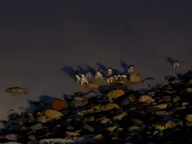 資訊圖片