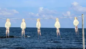 資訊圖片