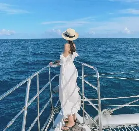 資訊圖片