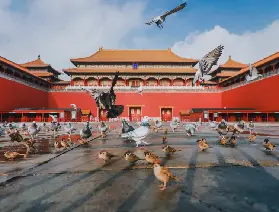 資訊圖片