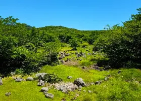 資訊圖片
