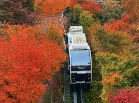 資訊圖片