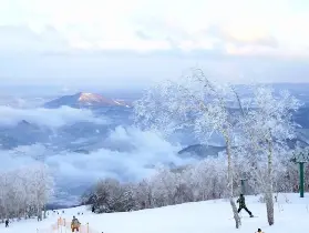 2026北海道滑雪必搶🔥札幌私人教練課保姆級選品指南