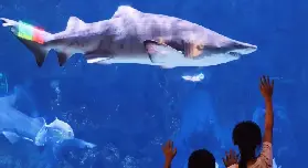 資訊圖片