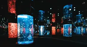 資訊圖片