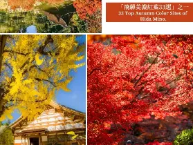 資訊圖片