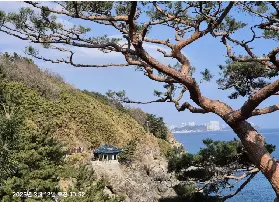 資訊圖片