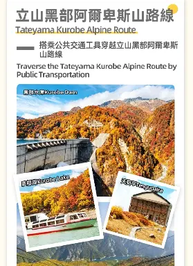 資訊圖片