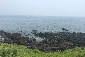 資訊圖片