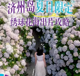 資訊圖片