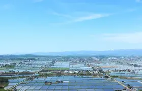資訊圖片