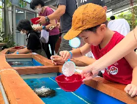 資訊圖片