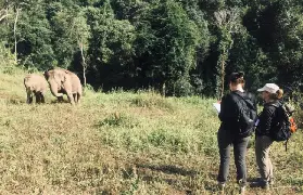 資訊圖片