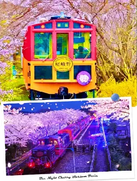 資訊圖片