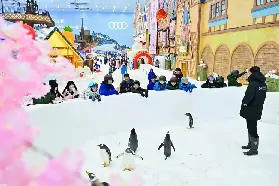 資訊圖片