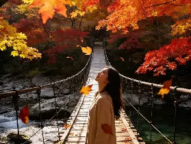 資訊圖片