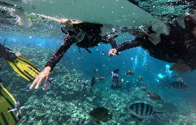 資訊圖片