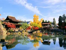 【名古屋往返】2026虎溪山永保寺&四季櫻&香嵐溪賞楓&蒲郡採果體驗&豊川稻荷看千狐石&三井Outlet岡崎購物一日遊
