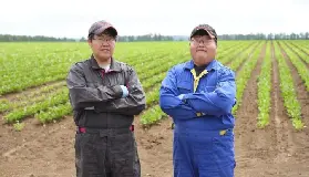 資訊圖片