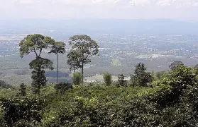 資訊圖片