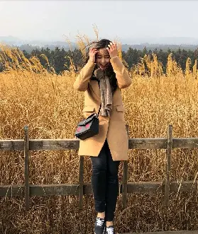 資訊圖片