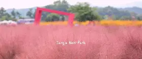 資訊圖片