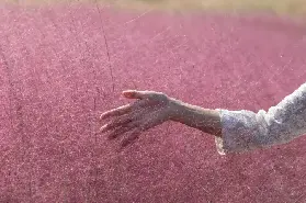 資訊圖片