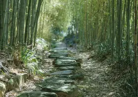 資訊圖片