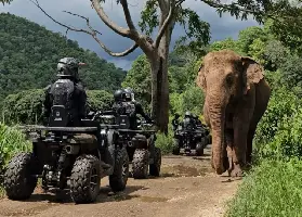 資訊圖片
