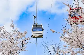 資訊圖片