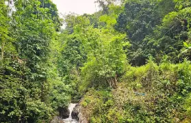資訊圖片