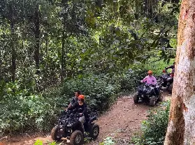 資訊圖片