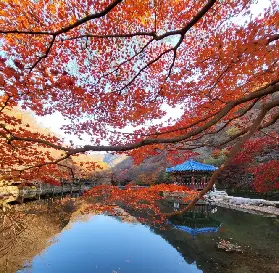 資訊圖片