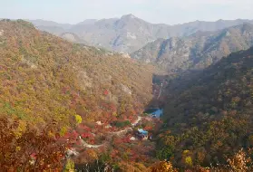資訊圖片