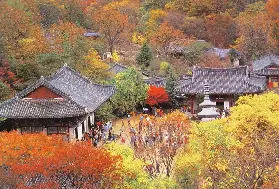 資訊圖片