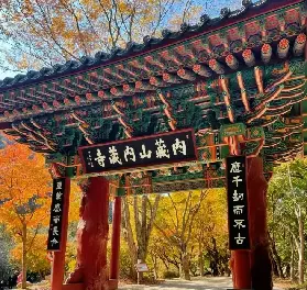 資訊圖片