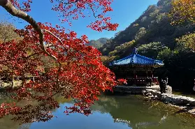 資訊圖片