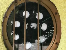 資訊圖片