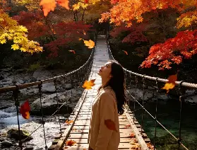 資訊圖片