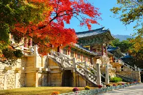 資訊圖片