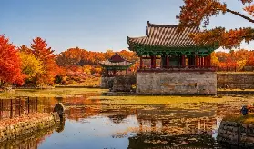 資訊圖片
