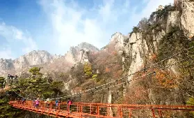資訊圖片