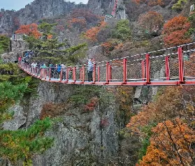 資訊圖片